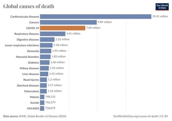 
Ed Abramoski Death Cause- Who Was He? Illness & Health Condition 