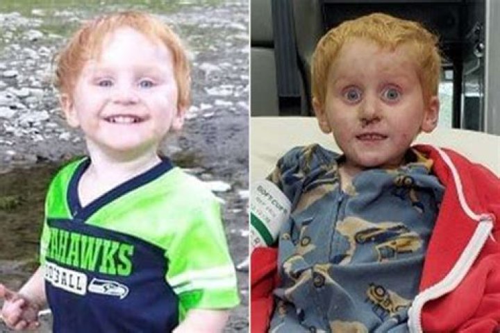 
Missing 4 Year Old Montana Ryker Webb Found Alive Was Rescued After 2 Days 