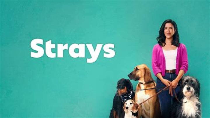 
Strays Season 2 Episode 7: Release Date, Preview & Streaming Guide 