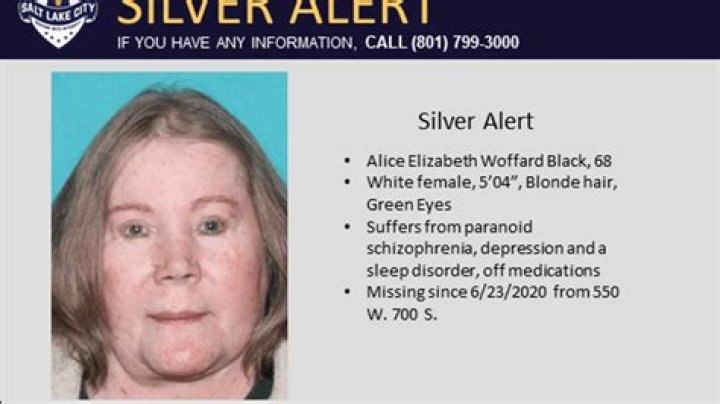 
What is a Silver alert ? Emily Barger missing update amid search for 14-year-old teen 